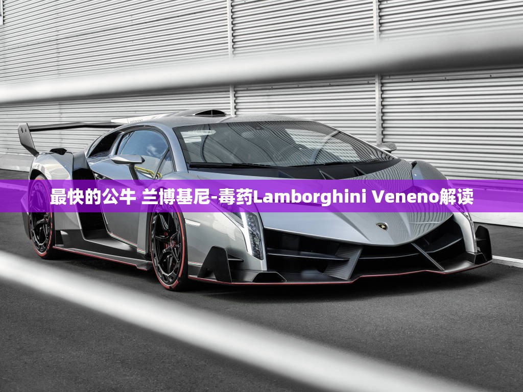 最快的公牛 兰博基尼-毒药Lamborghini Veneno解读