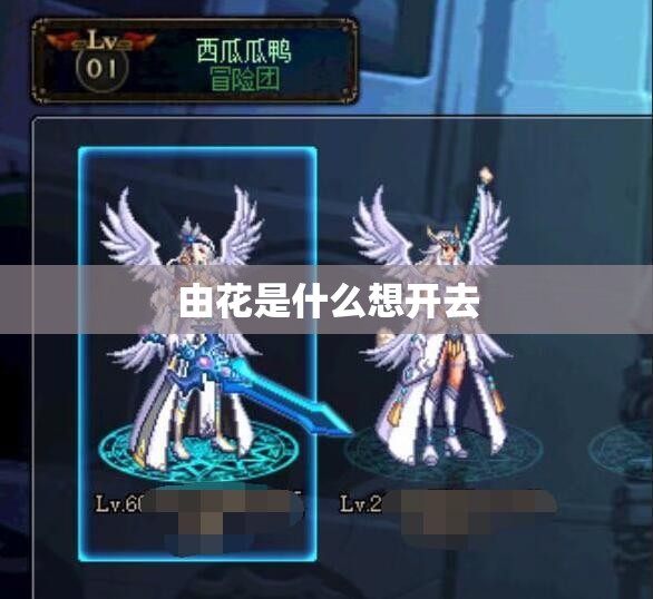 由花是什么想开去
