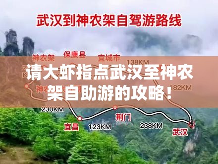 请大虾指点武汉至神农架自助游的攻略！