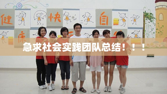 急求社会实践团队总结！！！