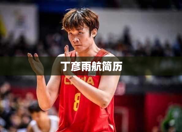 丁彦雨航简历
