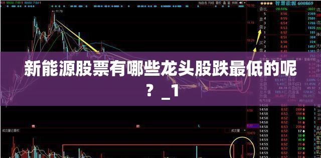 新能源股票有哪些龙头股跌最低的呢？_1