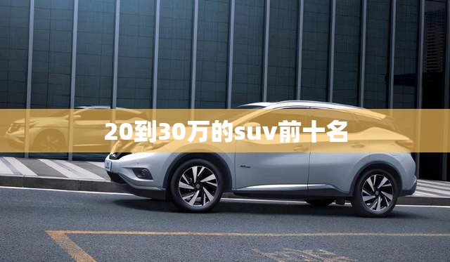 20到30万的suv前十名