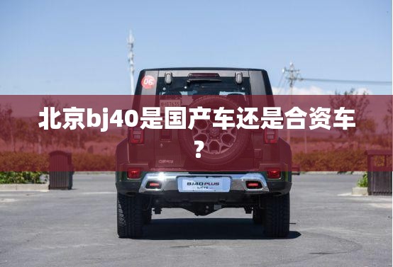 台风不同颜色等级