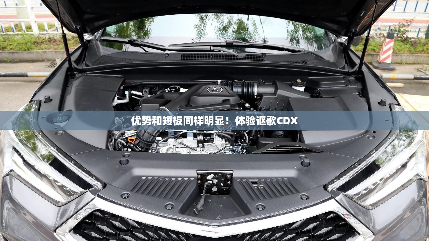 优势和短板同样明显！体验讴歌CDX