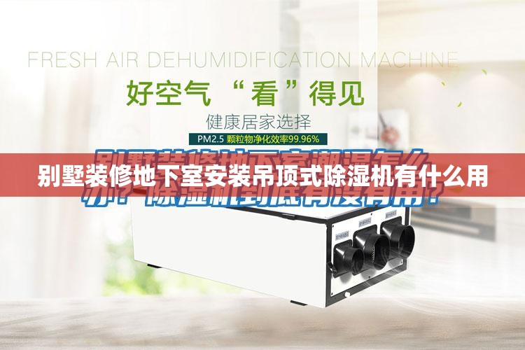2205/2205开头的身份证是哪里的