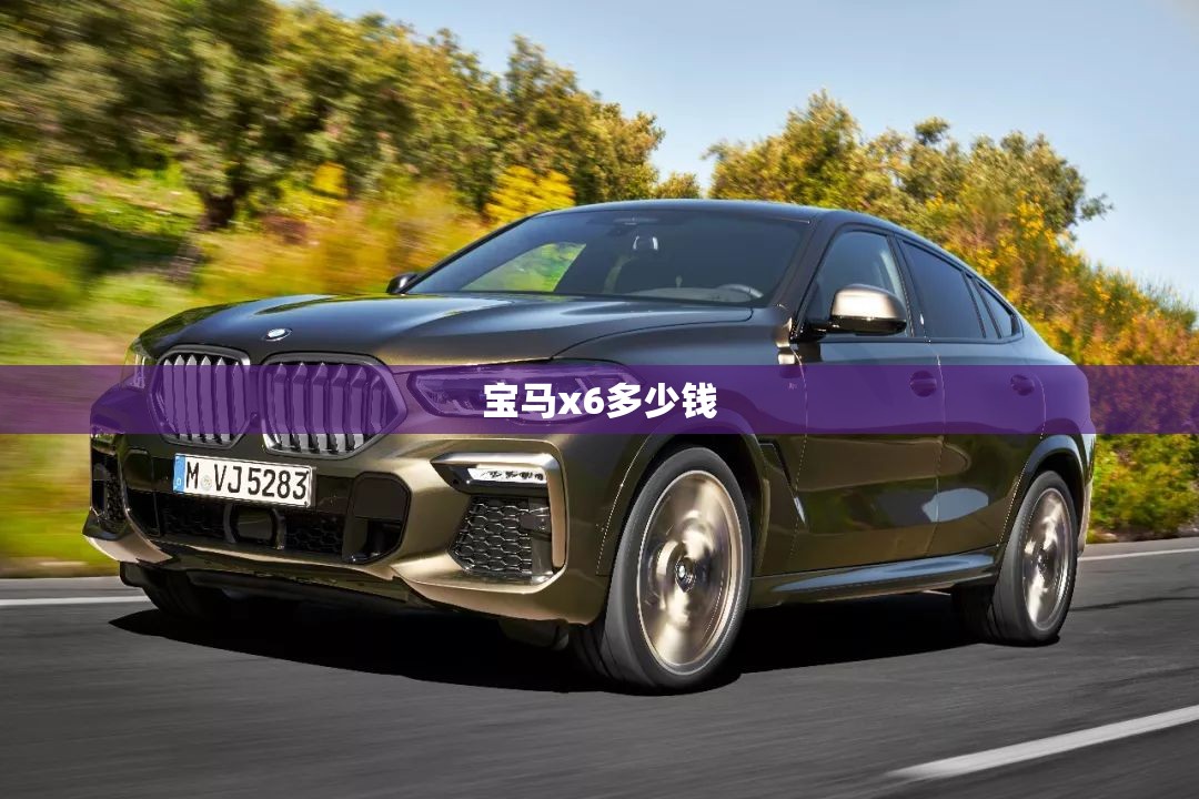 宝马x6多少钱
