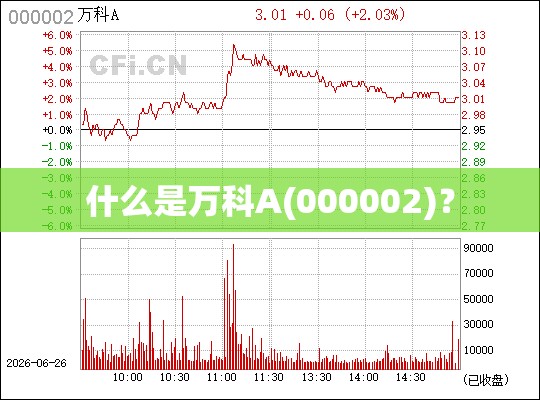 什么是万科A(000002)？