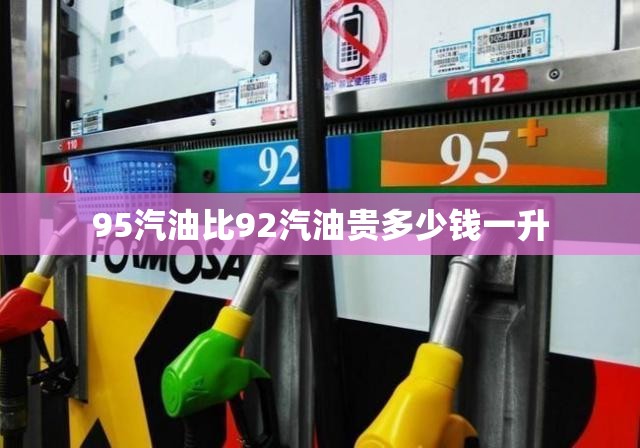 小型电子地磅费用/小型电子地磅哪个品牌好
