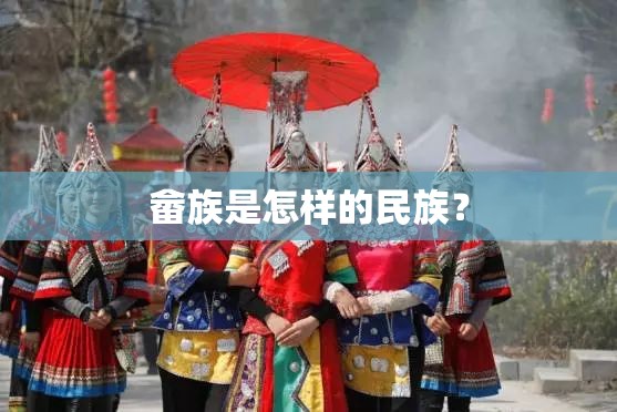 哪个天气预报网站报的比较准？