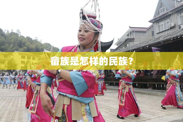 畲族是怎样的民族？