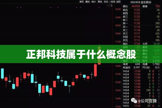 奔驰gt63价格