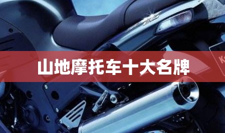 山地摩托车十大名牌