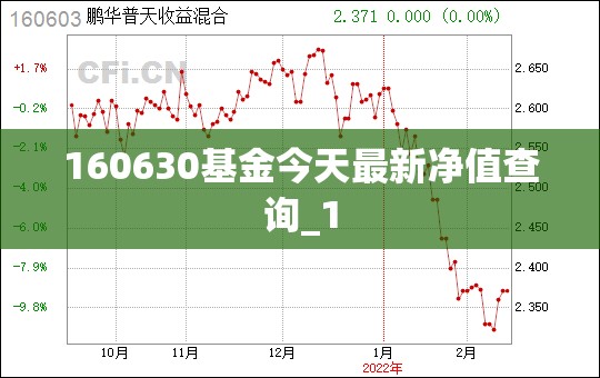 安阳市洹北中学新校区地址