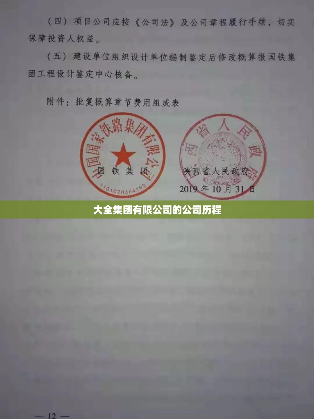 大全集团有限公司的公司历程