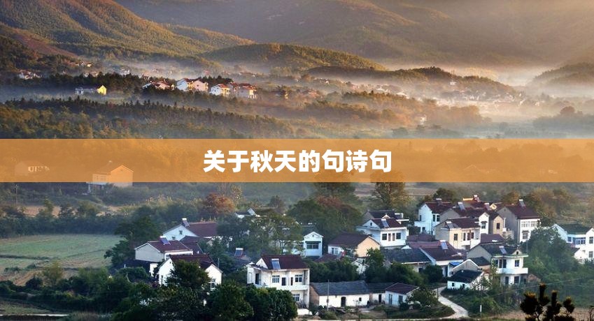 华电世界股票吧（华电世界股票01071）
