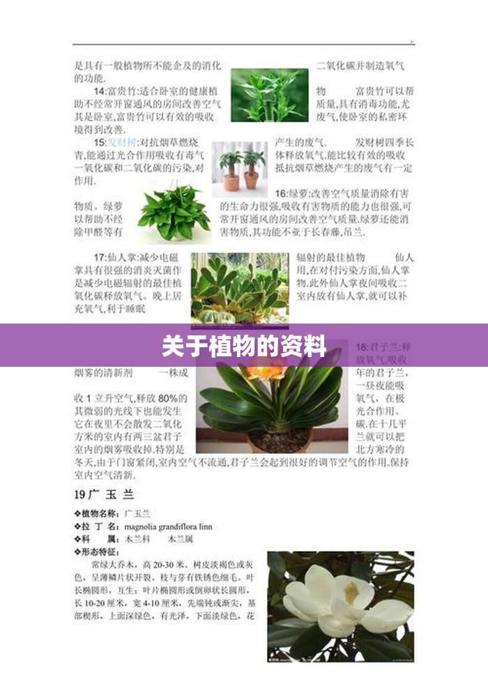 上海通用商务车七座多少钱