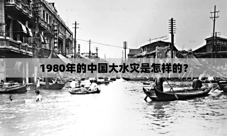 郑州限号跑了一天怎么处罚