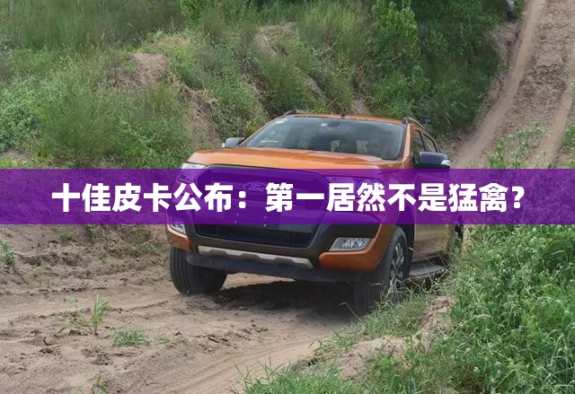 卷帘窗帘怎么使用