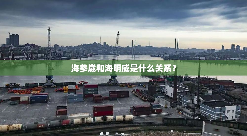 海参崴和海明威是什么关系? 海参崴和海明威是什么关系?