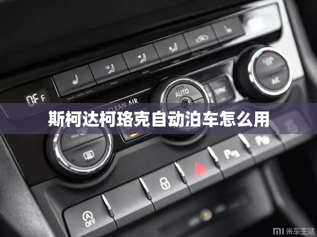斯柯达柯珞克自动泊车怎么用 斯柯达柯珞克自动泊车怎么用