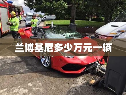 汽车车身怎么查看这俩汽车的排放标准(国四或者国五)