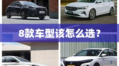 8款车型该怎么选？