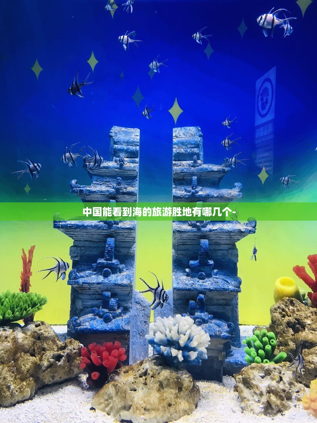 中国能看到海的旅游胜地有哪几个- 中国能看到海的旅游胜地有哪几个-