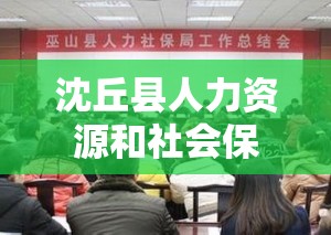 沈丘县人力资源和社会保障局的电话是多少 沈丘县人力资源和社会保障局的电话是多少