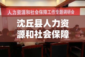 沈丘县人力资源和社会保障局的电话是多少 沈丘县人力资源和社会保障局的电话是多少