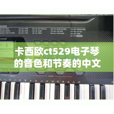 卡西欧ct529电子琴的音色和节奏的中文表