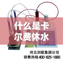 什么是卡尔费休水分仪的卡尔费休滴定法-