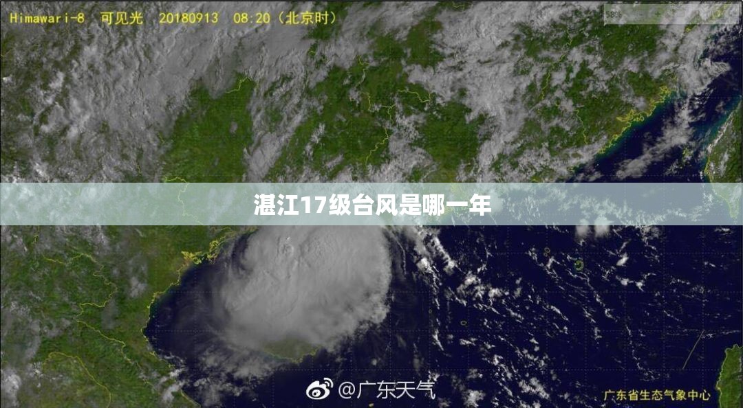 我想新手想购买股票那位大侠帮我选种收益好点的股票