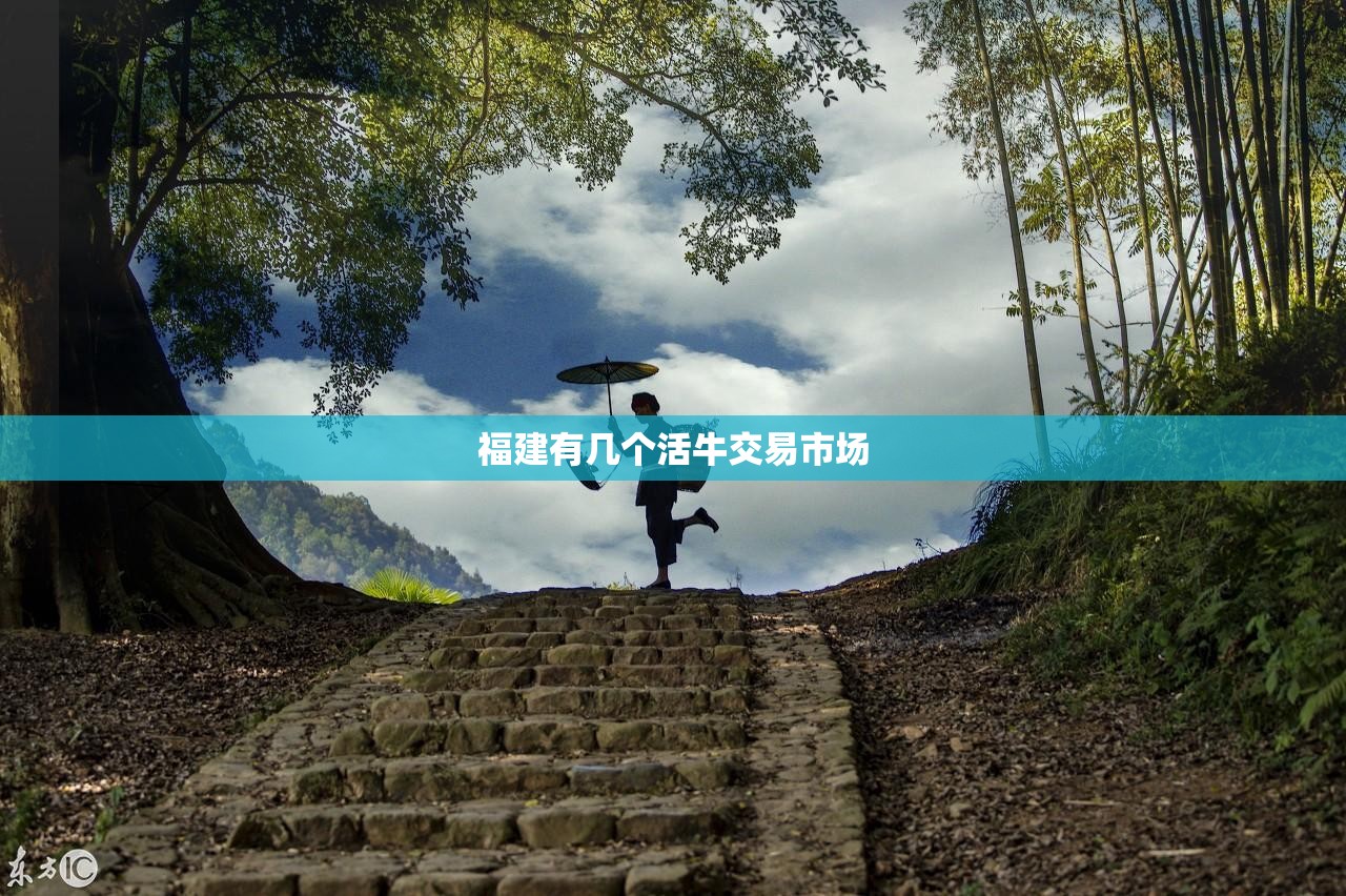 福建有几个活牛交易市场