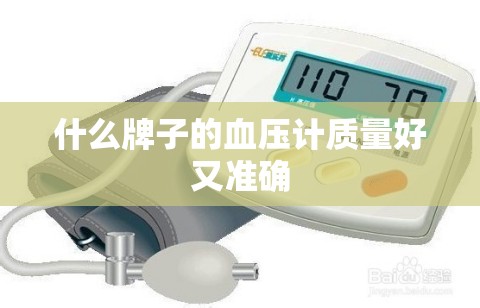 什么牌子的血压计质量好又准确 什么牌子的血压计质量好又准确