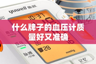 什么牌子的血压计质量好又准确 什么牌子的血压计质量好又准确
