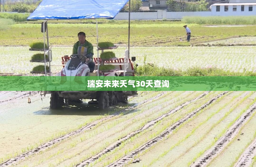 曼谷的雾霾带来那些危害