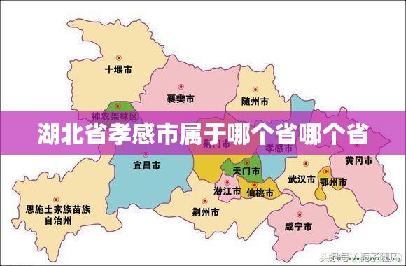 宝马17位车架号详解,宝马车架号是几位数