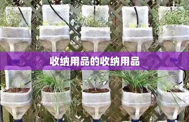 收纳用品的收纳用品 收纳用品的收纳用品