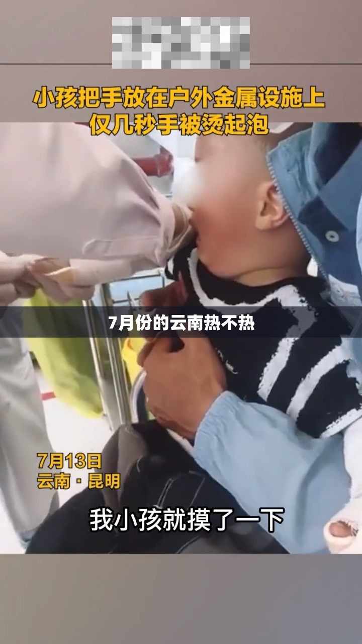 【温州市区天气预报一周,温州地区天气预报】