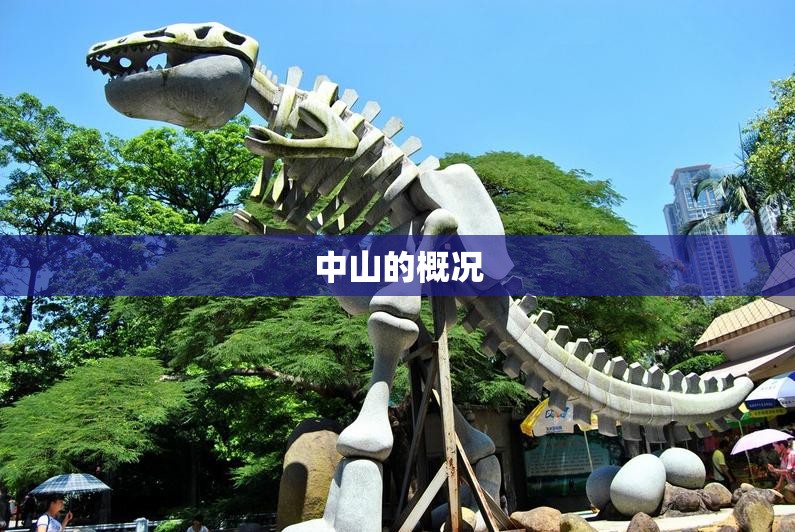 【深圳坪山天气预报,深圳坪山天气预报十五天】