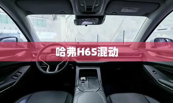 哈弗H6S混动 哈弗H6S混动