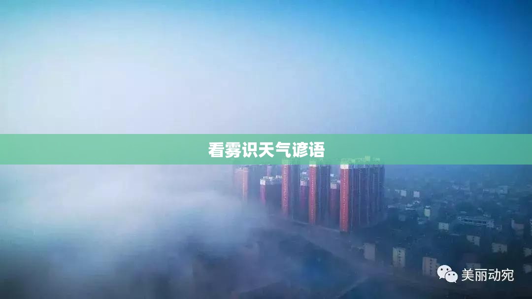 看雾识天气谚语
