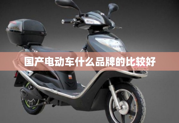 国产电动车什么品牌的比较好