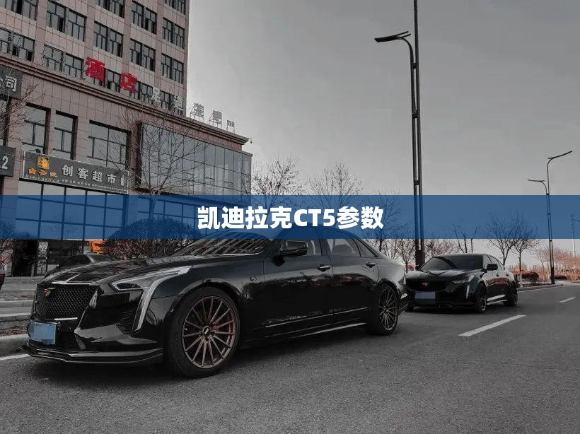 丰田有什么牌子的车,丰田品牌的车