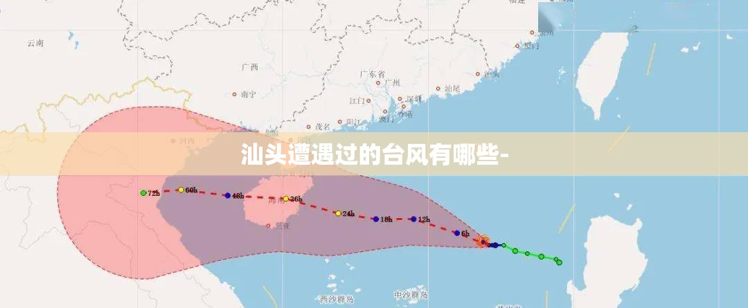 女生需要哪些基础款鞋子？