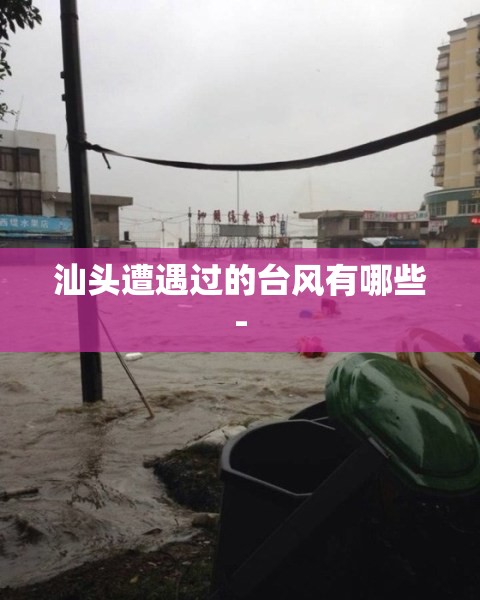 汕头遭遇过的台风有哪些- 汕头遭遇过的台风有哪些-