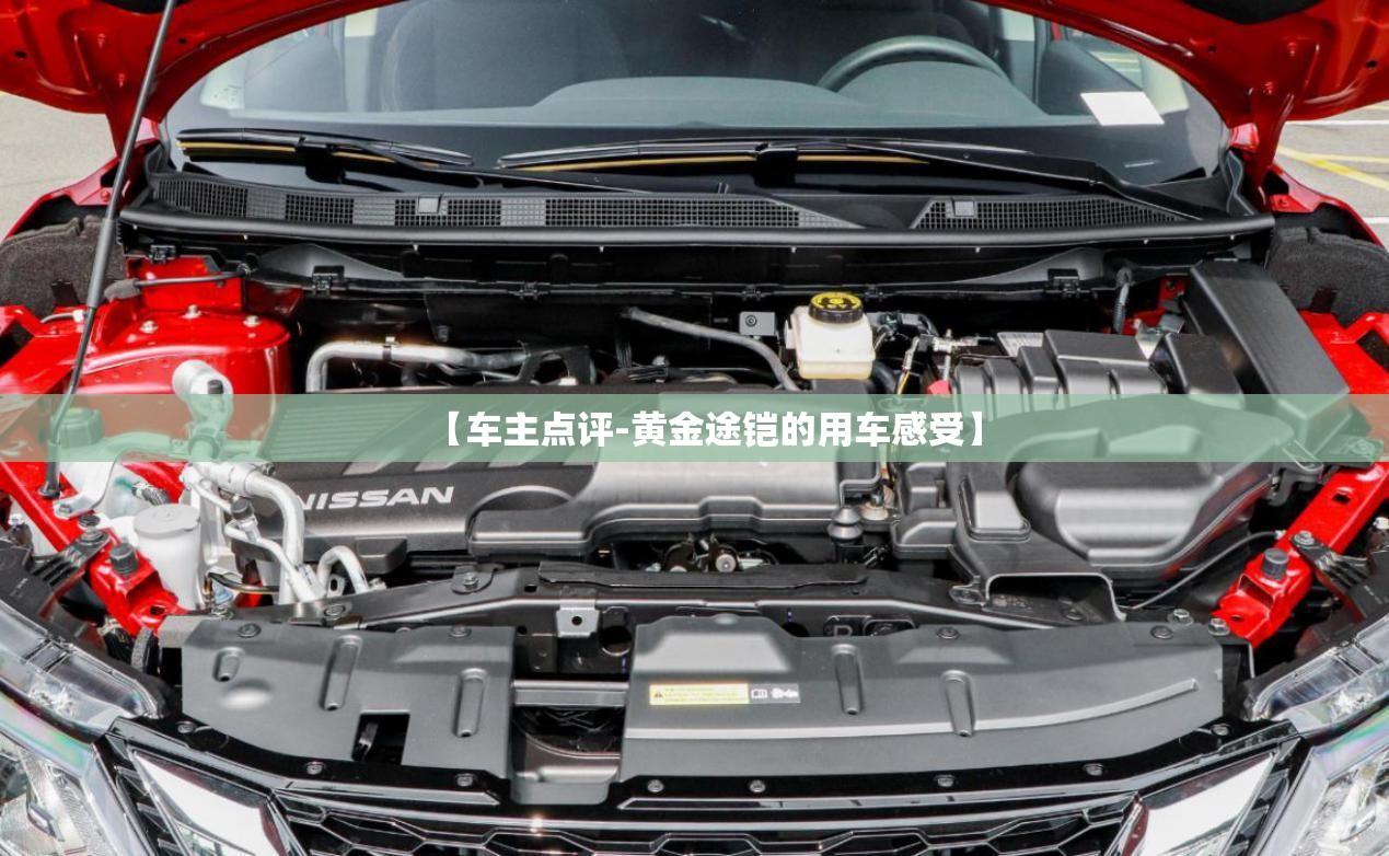 金箭两轮电动车费用表（金箭电动车最新款）