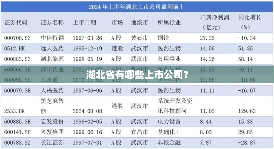 湖北省有哪些上市公司？