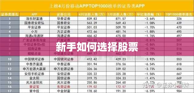 新手如何选择股票